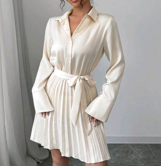 New Long Sleeve Shirt Dress With Pleated Hem Design, Commuting Elegant Stylish - Picture 3 of 4